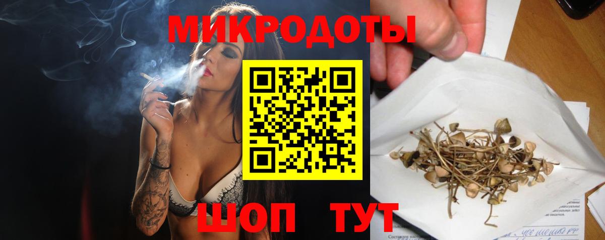 Галлюциногенные грибы мицелий Артём